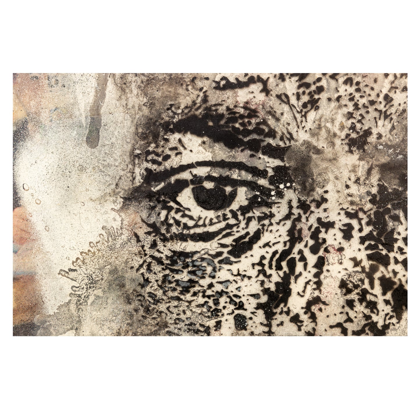 Vhils, Alexandre Farto (n. 1987)