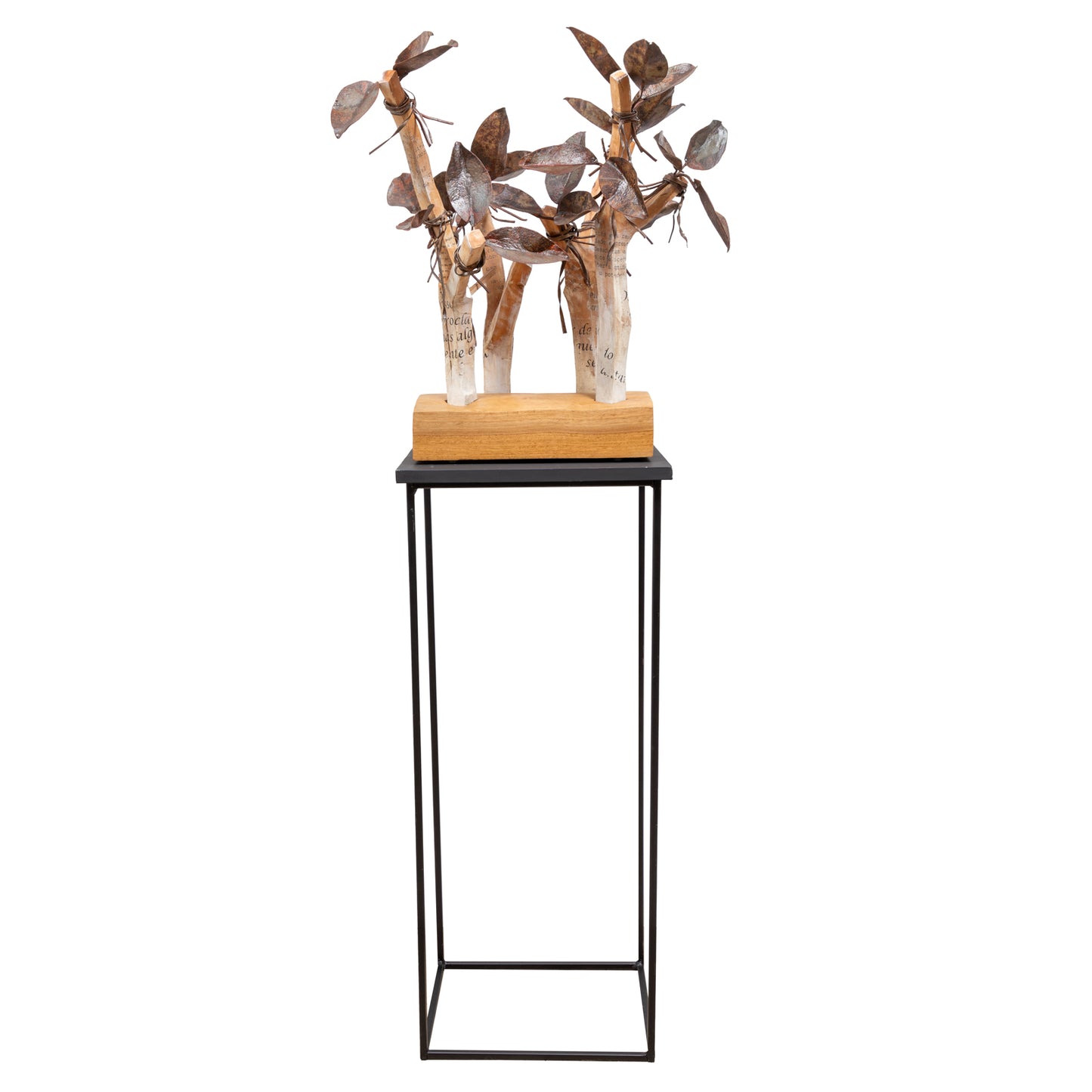 Carlos Ramos (n. 1960), "Mensagem"