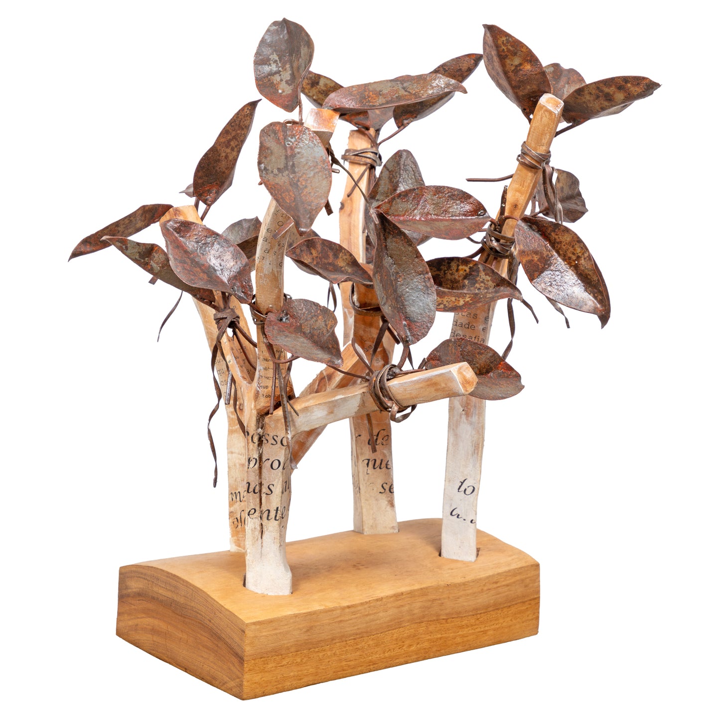 Carlos Ramos (n. 1960), "Mensagem"