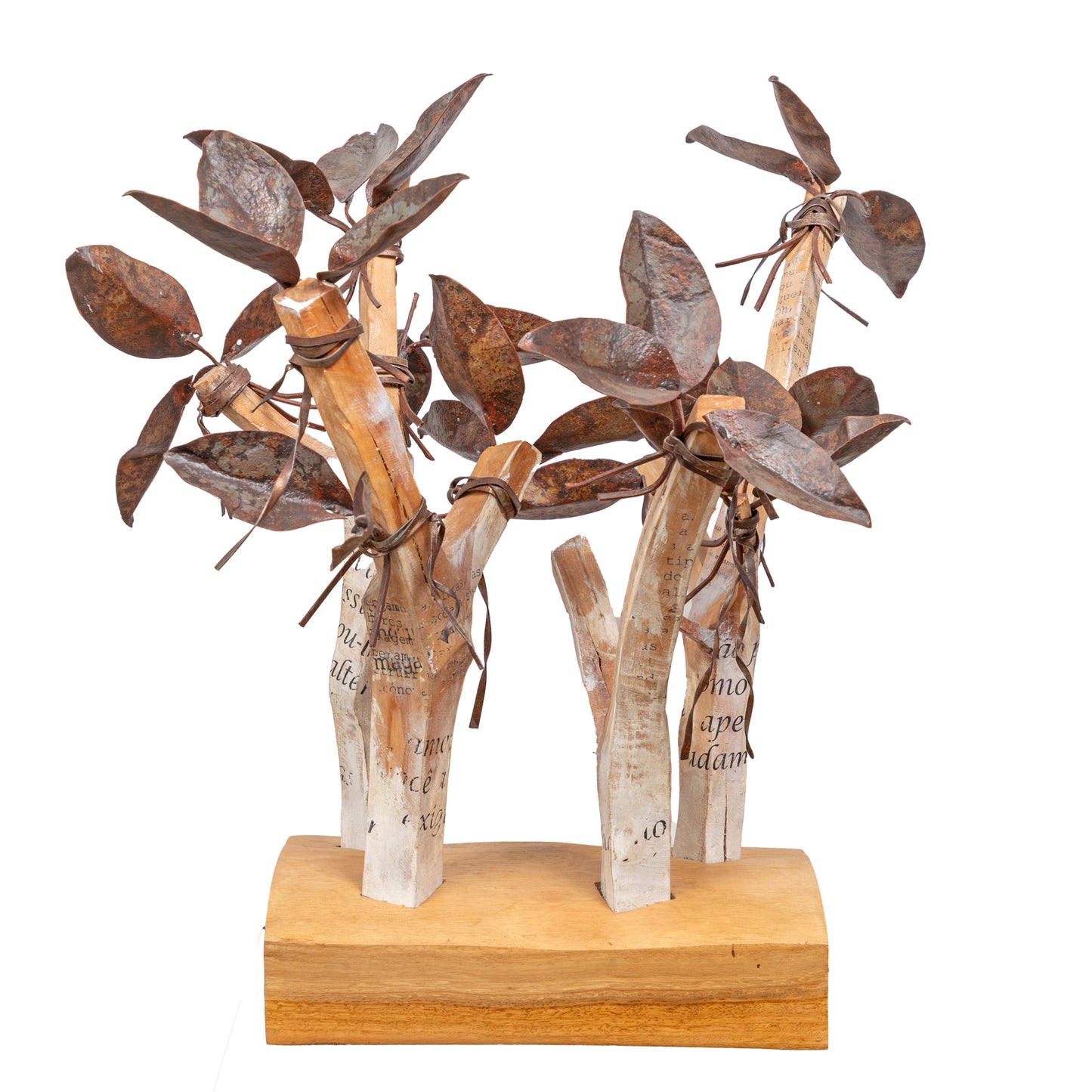 Carlos Ramos (n. 1960), "Mensagem"