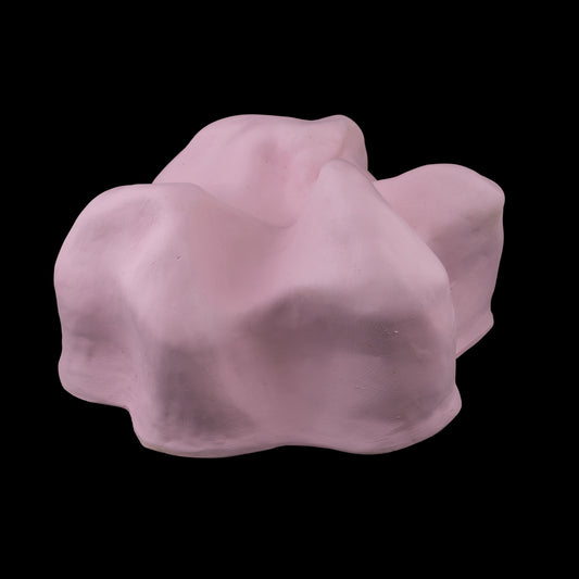 Susana Cannas (n. 1968), Silêncio em Flor