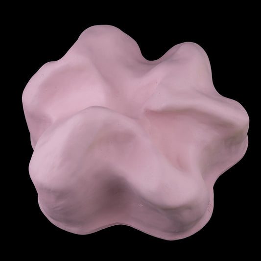 Susana Cannas (n. 1968), Silêncio em Flor